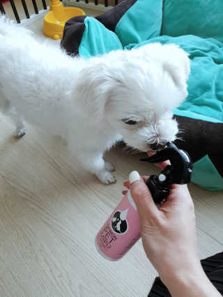 SeungHyePark님이 올린 리뷰 사진 3