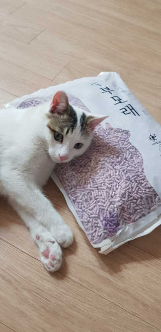 쭈하님이 올린 리뷰 사진 1