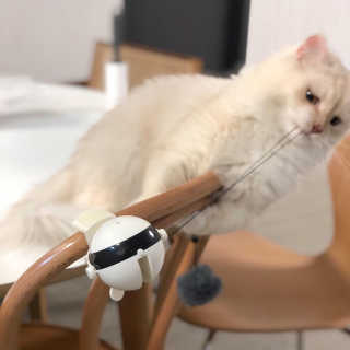 다용블리님이 올린 리뷰 사진 1