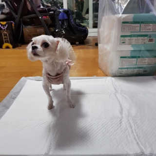 초밥님이 올린 리뷰 사진 1