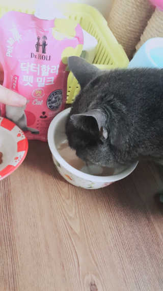 코코야옹님이 올린 리뷰 사진 4
