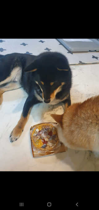 지또님이 올린 리뷰 사진 2