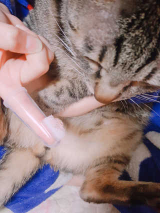 신예지님이 올린 리뷰 사진 1