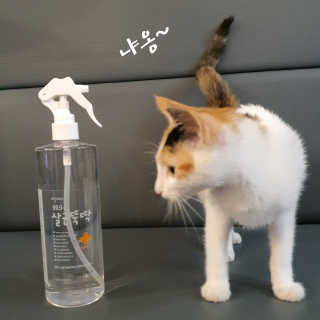 [펫토리아]살균뚝딱 강아지 고양이 살균소독제 탈취제 — 3점을 준 리뷰어가 2019년 10월 올린 사용 사진