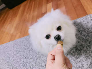 라움님이 올린 리뷰 사진 4