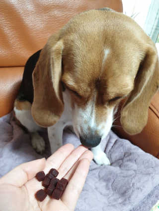 beaglelove님이 올린 리뷰 사진 3