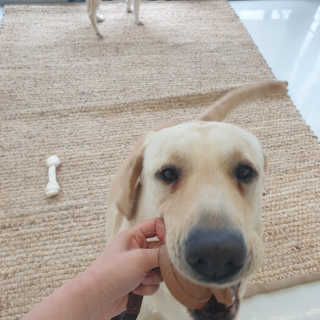 리아님이 올린 리뷰 사진 4