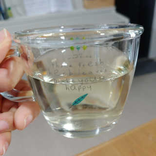 lhypooh님이 올린 리뷰 사진 3