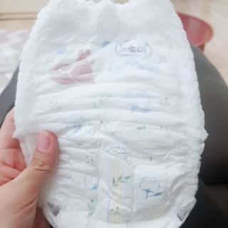 보솜이 리얼코튼 팬티형 — 5점을 준 리뷰어가 2019년 3월 올린 사용 사진
