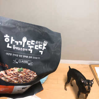 [펫토리아] 맛도 영양도 BEST 한끼뚝딱 강아지 사료 — 5점을 준 리뷰어가 2018년 12월 올린 사용 사진