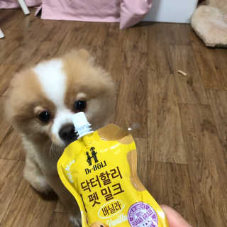 닥터할리펫밀크 8종 — 4.5점을 준 리뷰어가 2019년 10월 올린 사용 사진