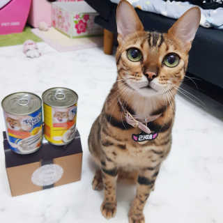 효니님이 올린 리뷰 사진 1