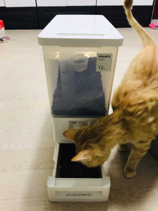 창신리빙 [프랑코 다이얼 계량 쌀통 12kg] 똑똑한 정리 수납 — 4.5점을 준 리뷰어가 2019년 2월 올린 사용 사진