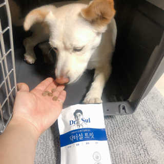 욘짱님이 올린 리뷰 사진 3