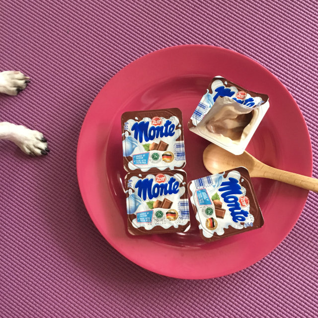 몬테 리뷰 사진