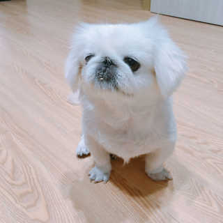 정다운님이 올린 리뷰 사진 3