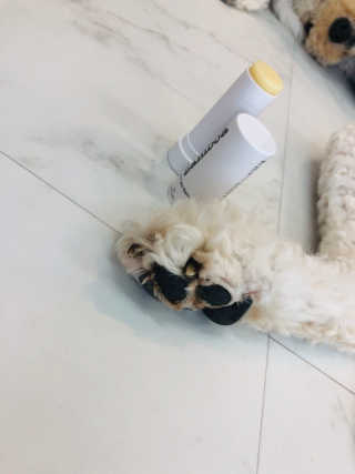 수블리님이 올린 리뷰 사진 3