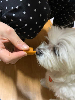 연구yeongu님이 올린 리뷰 사진 2