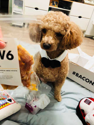 채리짱님이 올린 리뷰 사진 2