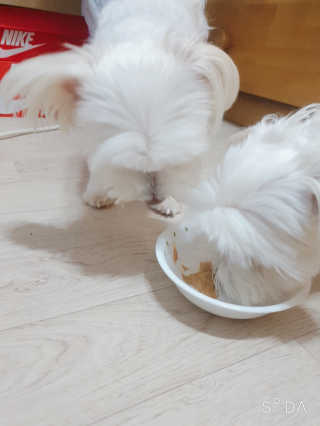 맘맘잉님이 올린 리뷰 사진 3