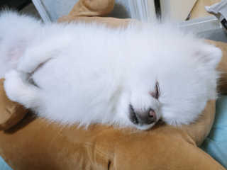 황선아님이 올린 리뷰 사진 2