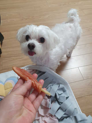 마이쭈님이 올린 리뷰 사진 3
