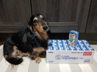 5_daks님이 올린 리뷰 사진 2
