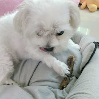 dhsk님이 올린 리뷰 사진 4