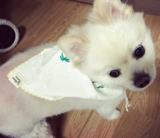 noname님이 올린 리뷰 사진 1