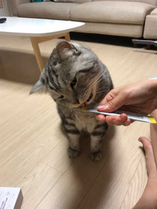 넴넴님이 올린 리뷰 사진 1