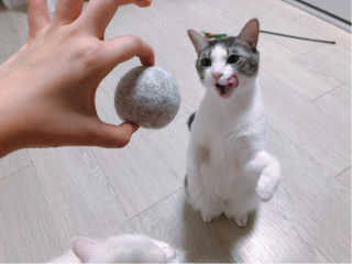 조호이님이 올린 리뷰 사진 3