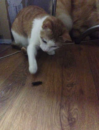lovelee님이 올린 리뷰 사진 2