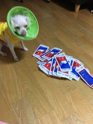 SoraKim님이 올린 리뷰 사진 3