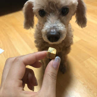 jinlovely님이 올린 리뷰 사진 2