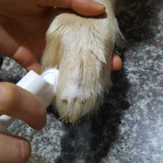 러블리초이님이 올린 리뷰 사진 1
