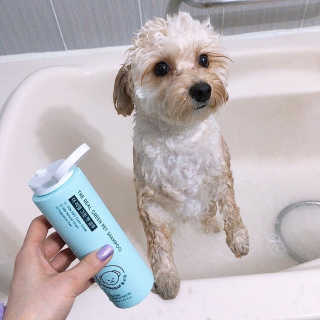 백설님이 올린 리뷰 사진 1