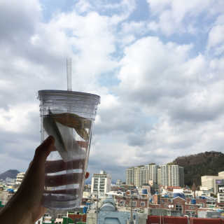 괜찮은지님이 올린 리뷰 사진 1