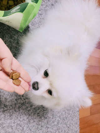 라움님이 올린 리뷰 사진 3