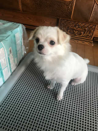 김유경님이 올린 리뷰 사진 3