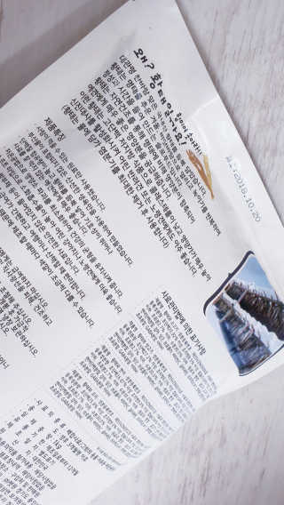 [펫토리아] 맛도 영양도 BEST 한끼뚝딱 강아지 사료 — 5점을 준 리뷰어가 2018년 12월 올린 사용 사진