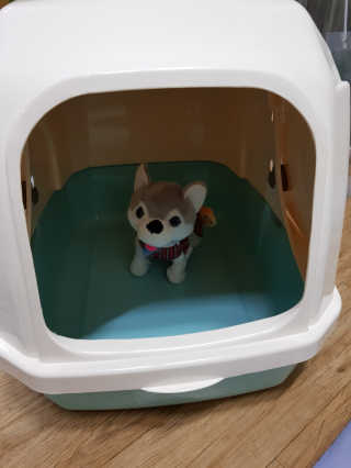 [펫토리아] BEST 한큐뚝딱 고양이 후드형 화장실 — 5점을 준 리뷰어가 2019년 1월 올린 사용 사진