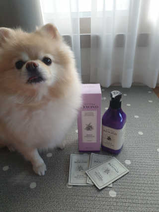 비욘드 바디 디펜스 샤워 450ml — 4점을 준 리뷰어가 2019년 12월 올린 사용 사진