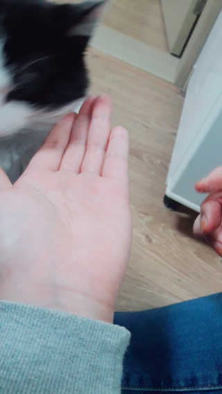 한라봉님이 올린 리뷰 사진 3