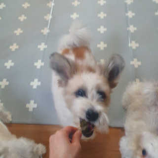 포비맘님이 올린 리뷰 사진 4
