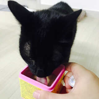 한비님이 올린 리뷰 사진 2