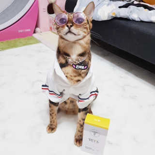 효니님이 올린 리뷰 사진 1