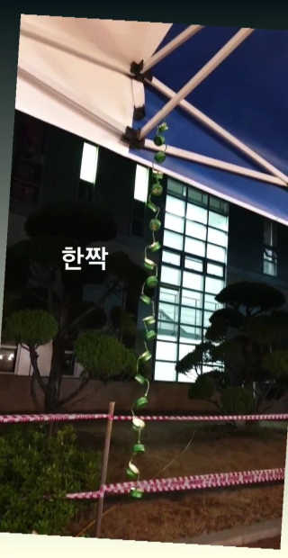 헛개컨디션 피크닉과 축제의 필수템, 헛개 컨디션 — 5점을 준 리뷰어가 2019년 5월 올린 사용 사진