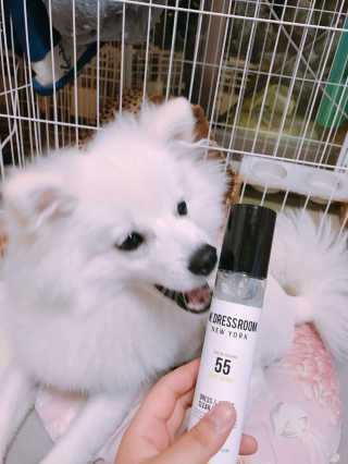 더블유드레스룸 드레스퍼퓸 150ml — 5점을 준 리뷰어가 2018년 10월 올린 사용 사진
