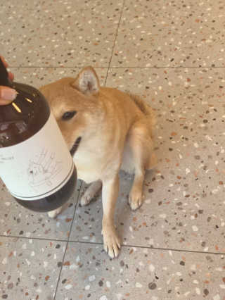 lala님이 올린 리뷰 사진 2