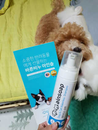 하승님이 올린 리뷰 사진 1